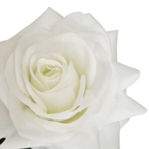 Emma Real Touch Rose - 70cmL / White close up -1