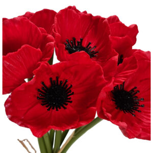 Eva Poppy Bundle - 30cm / Red -1