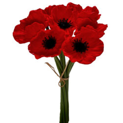 Eva Poppy Bundle - 30cm / Red -1