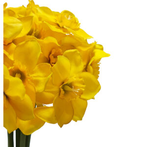 Artificial Daffodil Bundle - 40cmL / Yellow -1