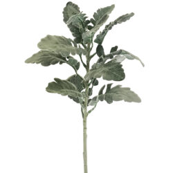 Dusty Miller Spray - 45cmH / Soft Green -1