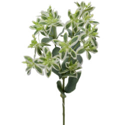 Variegated Spurge Spray - 50cm / Green/White -1