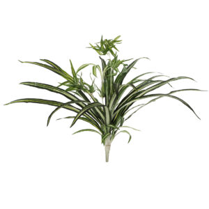 Artificial Spider Plant - 55cmH / Green/Cream -1