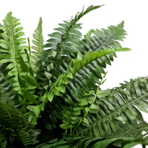 Giant Artificial Boston Fern Bush - 85cmW x 55cmH -1