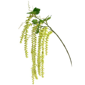 Hanging Amaranthus Spray - 65cm / Cream -1