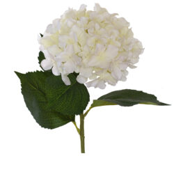 Artificial Hydrangea - 80cmL / White -1