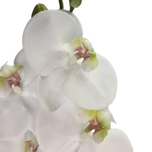 Real Touch Orchid Stem - 85cmL / White -1