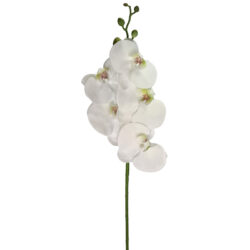 Real Touch Orchid Stem - 85cmL / White -1