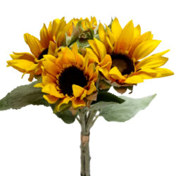 Sunflower Bundle x 6 - 42cm -1