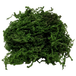 Artificial Green Moss - 50g Bag -1