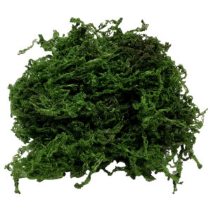 Artificial Green Moss - 50g Bag -1