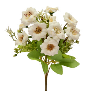 Rosetta Bush - 28cmL / Cream -1