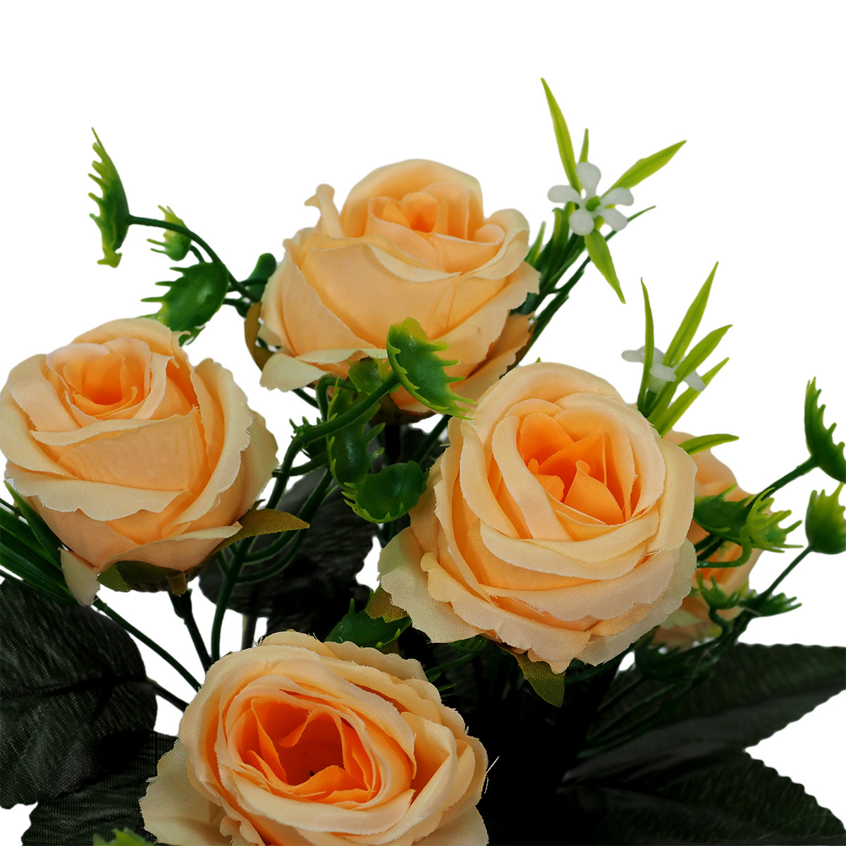 Mini Rose Bush - 30cmL / Apricot -1