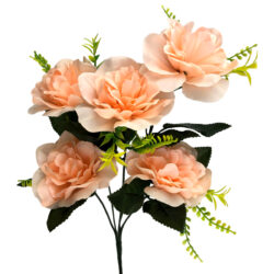 Lucy Peony Bush x 5 - 36cmL / Peach -1