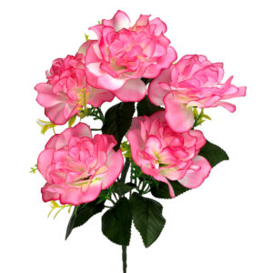 Lucy Peony Bush x 5 - 36cmL / Two Tone Pink -1