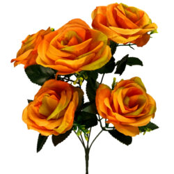 Diana Rose Bush - 36cm / Orange -1
