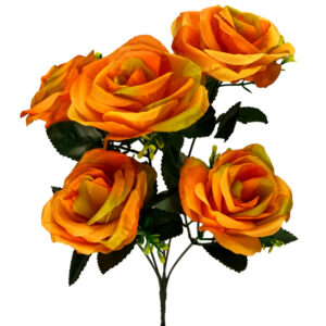 Diana Rose Bush - 36cm / Orange -1