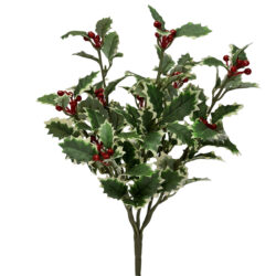 Variegated Holly Bush w/Berries - 35cmL -1