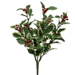 Variegated Holly Bush w/Berries - 35cmL -1