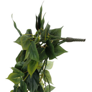 Philo Leaf Hanging Bush w/80 Leaves - 60cm / Green -1