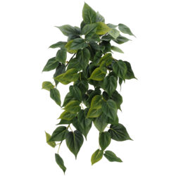 Philo Leaf Hanging Bush w/80 Leaves - 60cm / Green -1