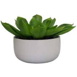 Artificial Echeveria in Matte White Ceramic Pot - 18.75cmH x 27cmD -1
