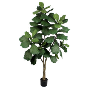 Potted Fiddle Leaf Tree - 182cmH -1