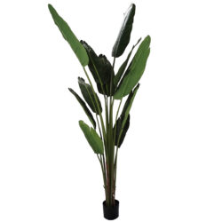 Potted Artificial Strelitzia Plant - 182cmH -1