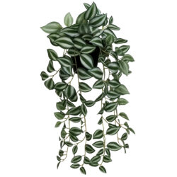 Potted Wandering Jew Hanging Bush - 52.5cm / Green/Silver -1