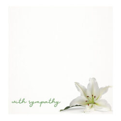 Square White Lily Sympathy Card -1