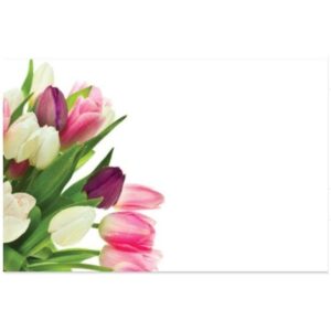 Tulip Bunch Card x 50 -1