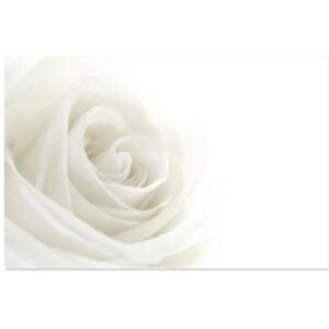 White Rose Card x 50 -1
