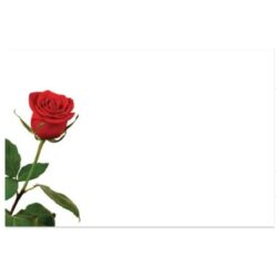 Red Rose Bud Card x 50 -1