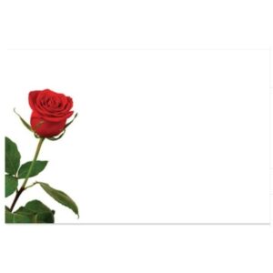 Red Rose Bud Card x 50 -1