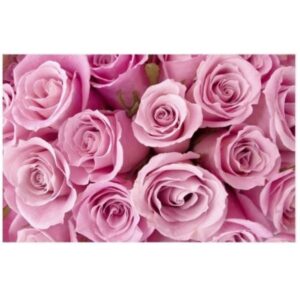 Pink Roses Card x 50 -1