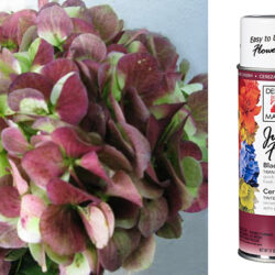 Design Master Spray - Just for Flowers - 11oz - Black Cherry -1