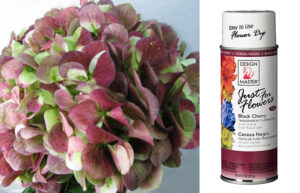 Design Master Spray - Just for Flowers - 11oz - Black Cherry -1