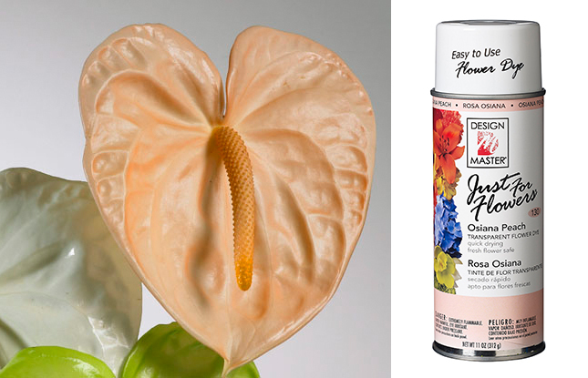 Design Master Spray - Just for Flowers -11oz / Osiana Peach -1