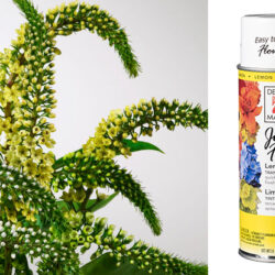 Design Master Spray - Just for Flowers - 11oz - Lemon -1