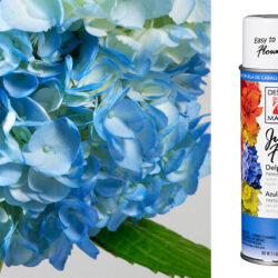 Design Master Spray - Just for Flowers - 11oz / Delphinium Blue -1