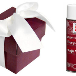 Design Master Spray -12oz / Burgundy -1