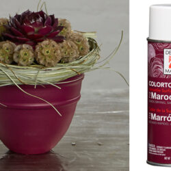 Design Master Spray -12oz / Maroon -1