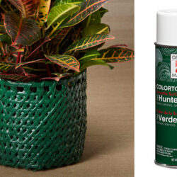 Design Master Spray -12oz / Hunter Green