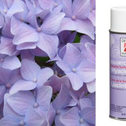 Design Master Spray -12oz / Hyacinth