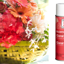 Design Master Spray -12oz / Coral Bright