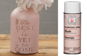 Design Master Spray -12oz / Blush