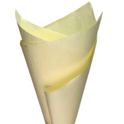 Embossed Paper - 50cm x 75cm x 50sheets / Cream