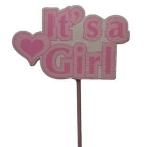 It's a Girl Wooden Pick x 10pcs / 26cmL -1