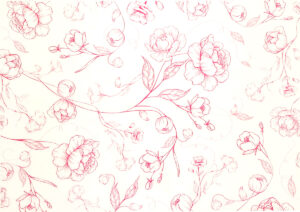 Floral Vine Clear Poly Wrap - 37mic 50cm x 70cm x 100sheets / Beauty -1