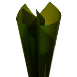 Solid Colour Cello Wrap - 37mic - 50cm x 70cm x 100sheets / Moss